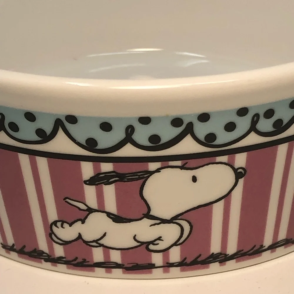 Snoopy Ceramic Bowl with Pink Stripes beautiful colors
